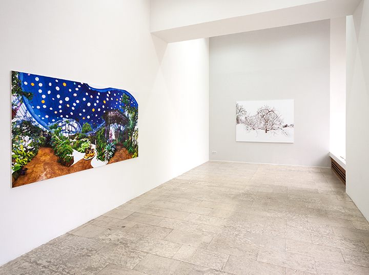 ICY ORCHARD INSTALLATION