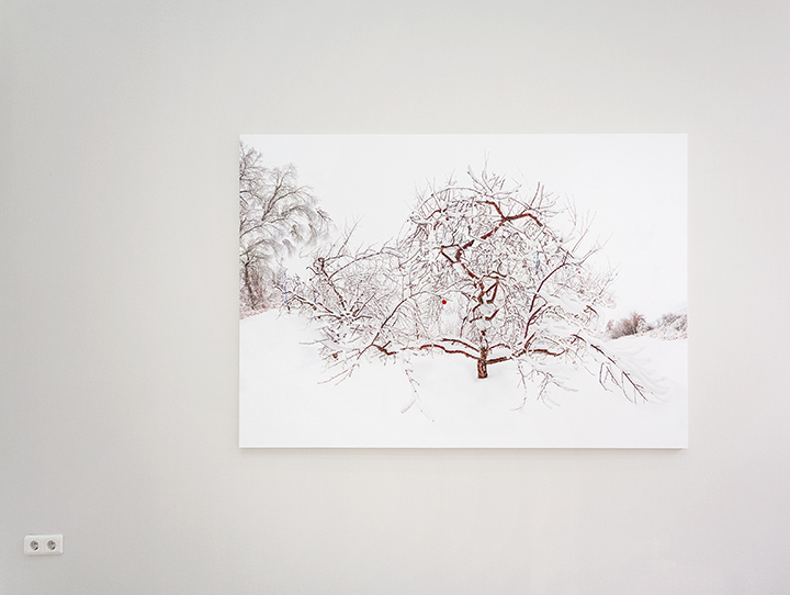 ICY ORCHARD INSTALLATION CLOSE-UP