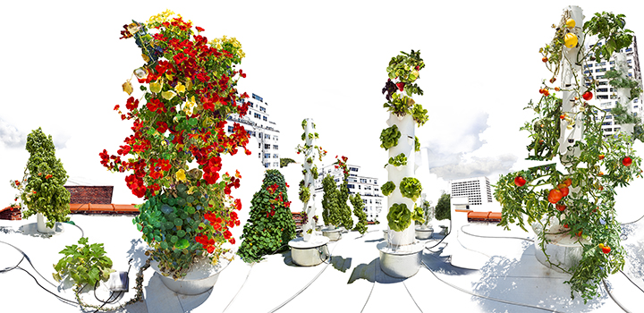 TOWER GARDEN, NEW YORK