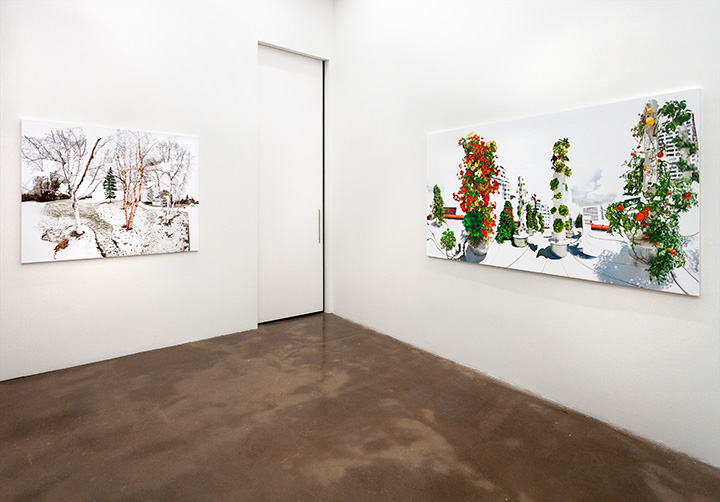 TOWER GARDEN + BIRCH GROVE GALLERY